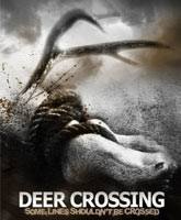 Deer Crossing /  
